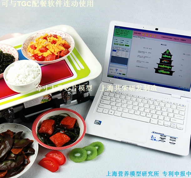 便携式食物模型自动配餐系统