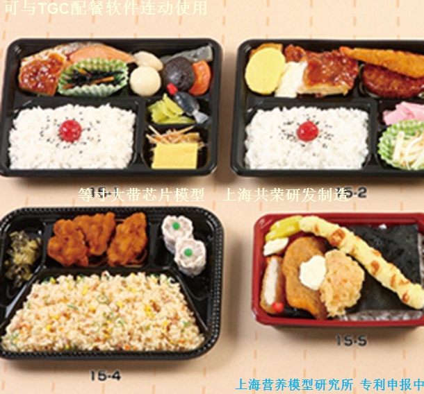 Model of Food for Special Population（Style 3）