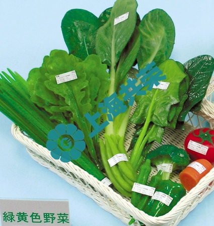 1日350克蔬菜盘 模型 黄绿蔬菜10种
