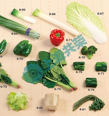 平衡膳食-蔬菜3